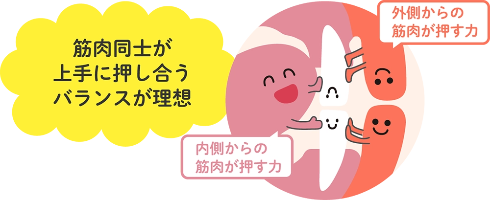 お口周りの筋肉へアプローチした矯正法
