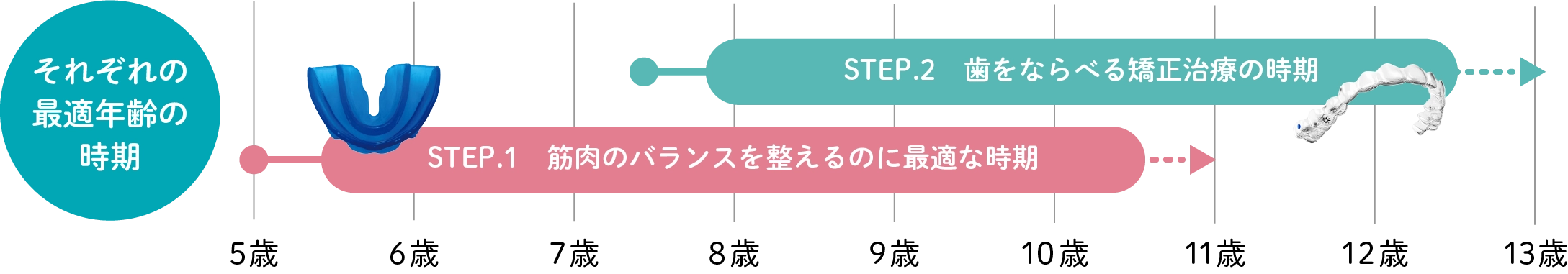 それぞれの最適年齢の時期