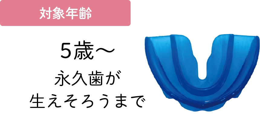 5歳から永久歯が生え揃うまで